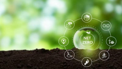 Carbon Neutrality by 2050: How Nations Can Achieve Net-Zero Emissions