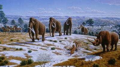 De-extinction Debate: Could Reviving Lost Species Help Restore Ecosystems?