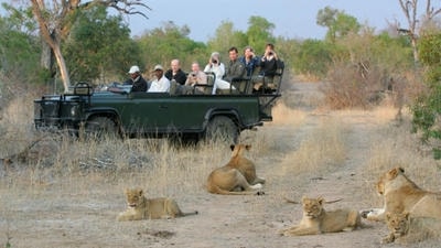 How Wildlife Sanctuaries Can Avoid Exploitation and Promote Ethical Tourism