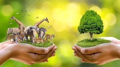 How Wildlife Sanctuaries Can Avoid Exploitation and Promote Ethical Tourism