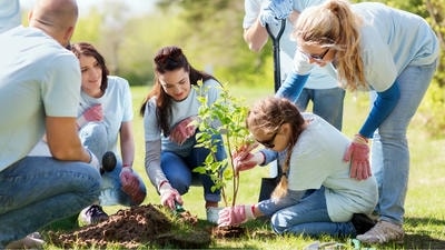 How to Start a Community Climate Action Group in Your Neighborhood